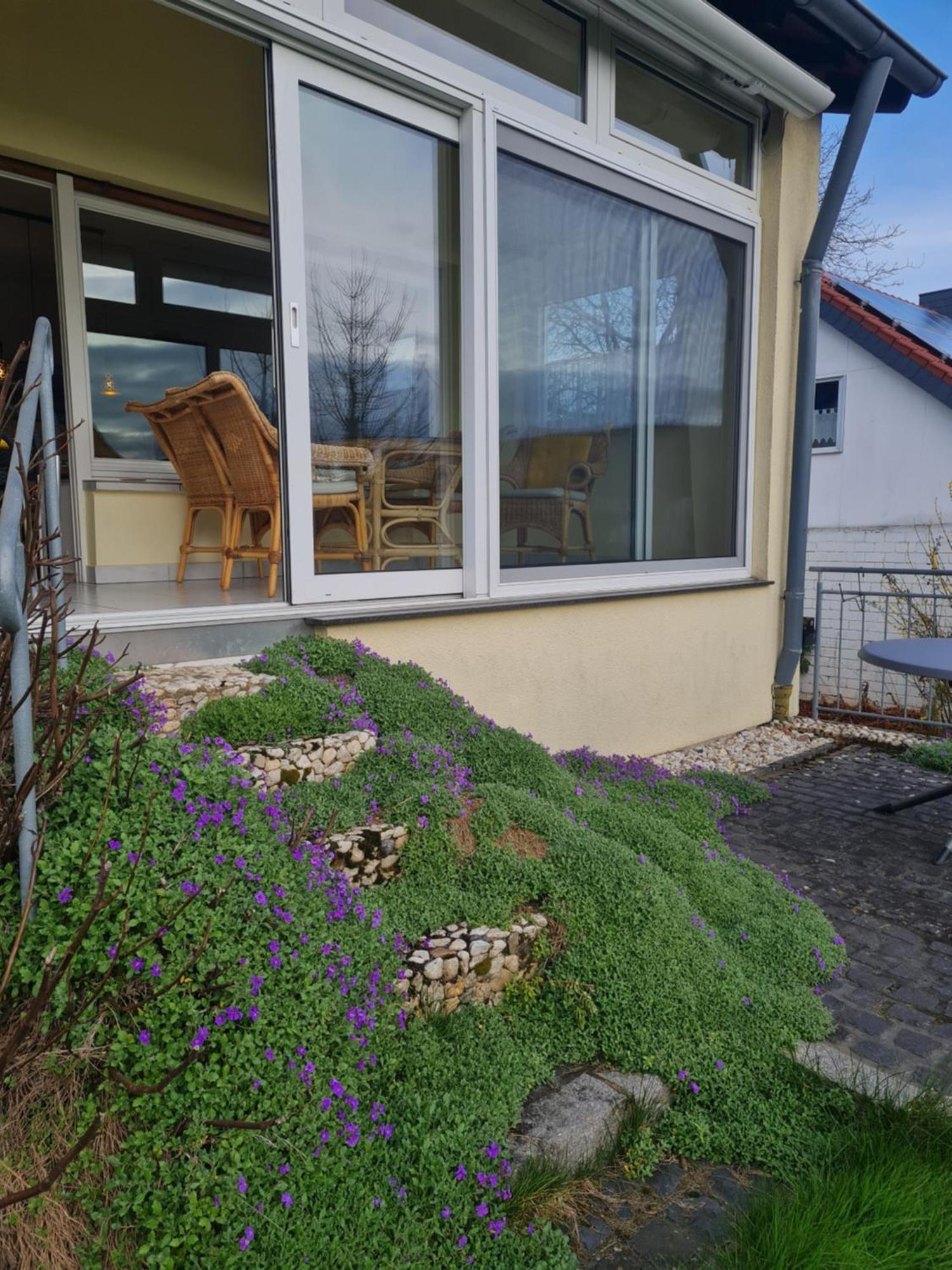 Ferienwohnung Im Rurtal Kreuzau Esterno foto