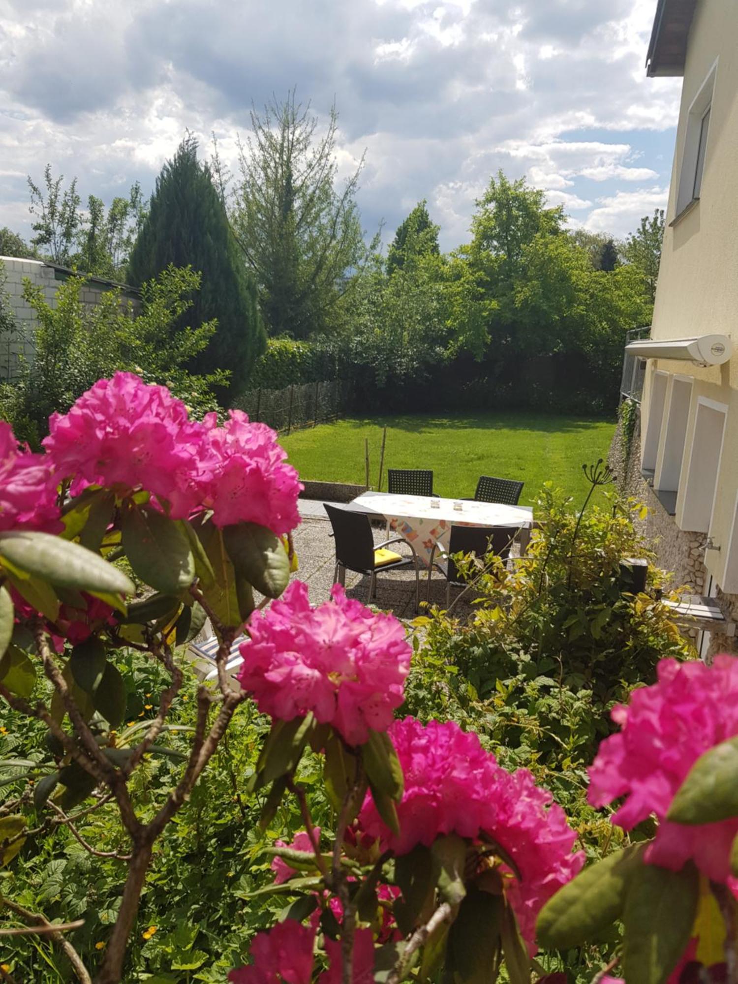 Ferienwohnung Im Rurtal Kreuzau Esterno foto